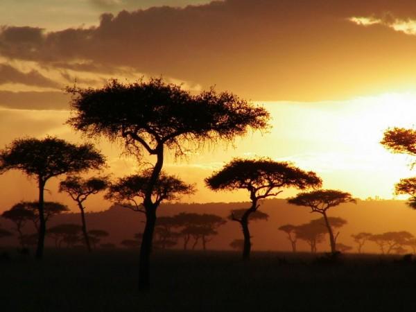 Сафари по Африке: места, животные, люди